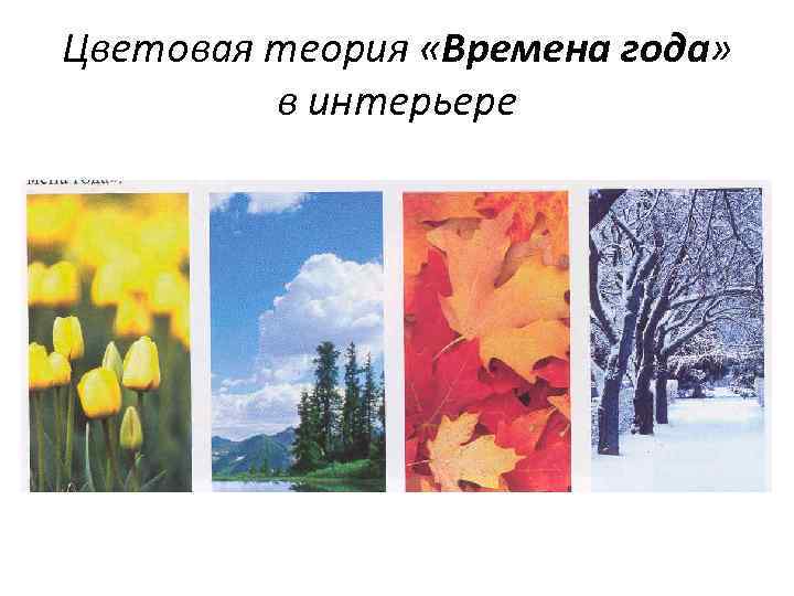 Цветовая теория «Времена года» в интерьере 