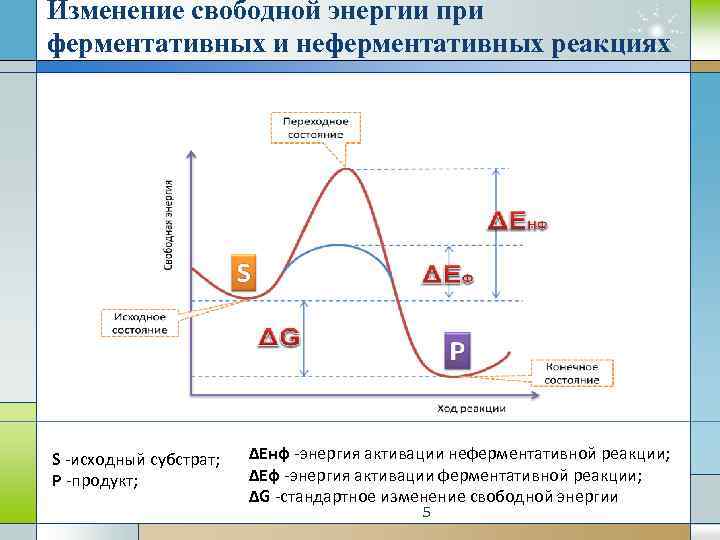 Изменение свободной энергии