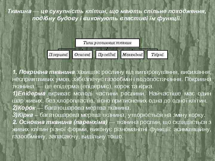 Тканина — це сукупність клітин, що мають спільне походження, подібну будову і виконують властиві