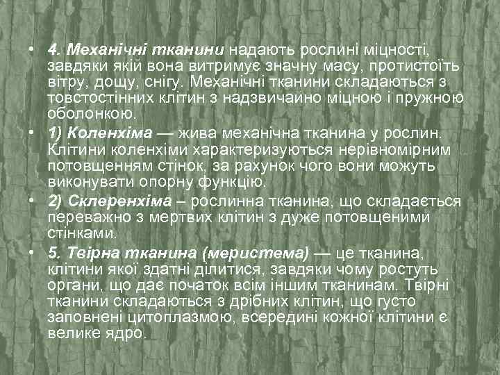  • 4. Механічні тканини надають рослині міцності, завдяки якій вона витримує значну масу,