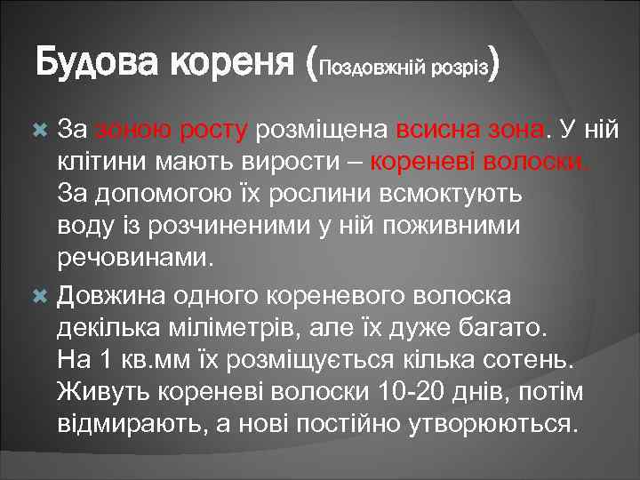 Будова кореня (Поздовжній розріз) За зоною росту розміщена всисна зона. У ній клітини мають