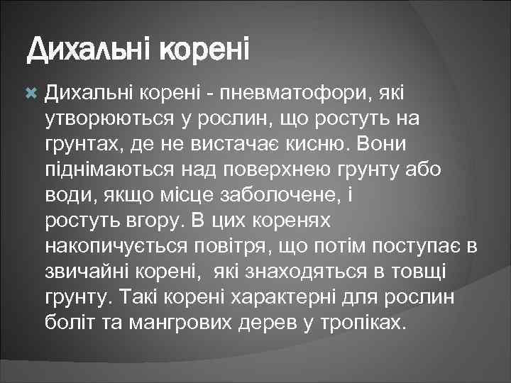 Дихальні корені - пневматофори, які утворюються у рослин, що ростуть на грунтах, де не