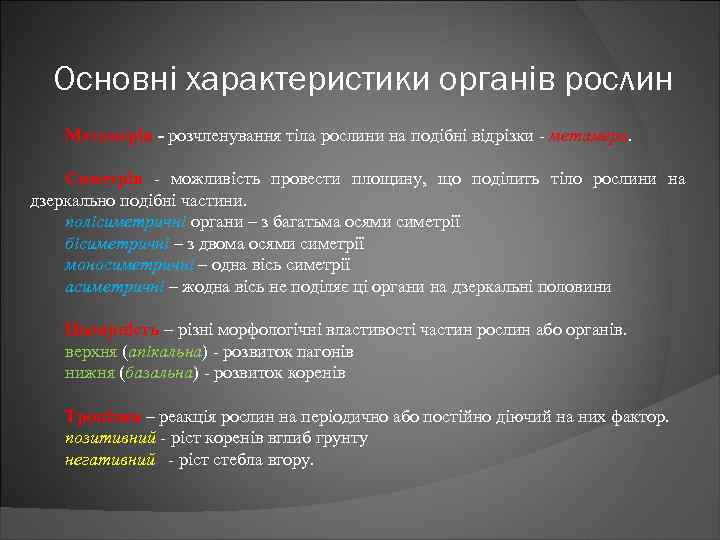 Основні характеристики органів рослин Метамерія - розчленування тіла рослини на подібні відрізки - метамери.