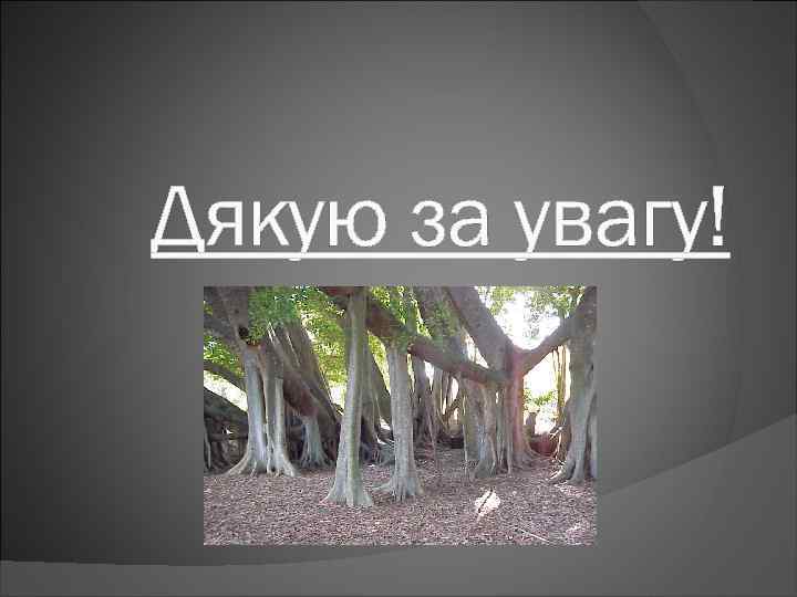 Дякую за увагу! 