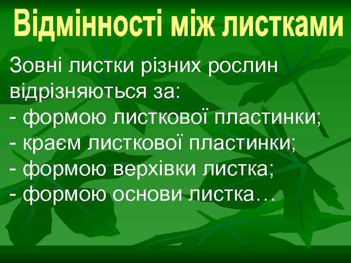 Зовні листки різних рослин відрізняються за: - формою листкової пластинки; - краєм листкової пластинки;