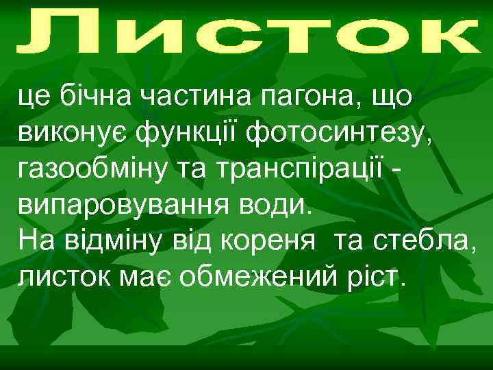 це бічна частина пагона, що виконує функції фотосинтезу, газообміну та транспірації випаровування води. На