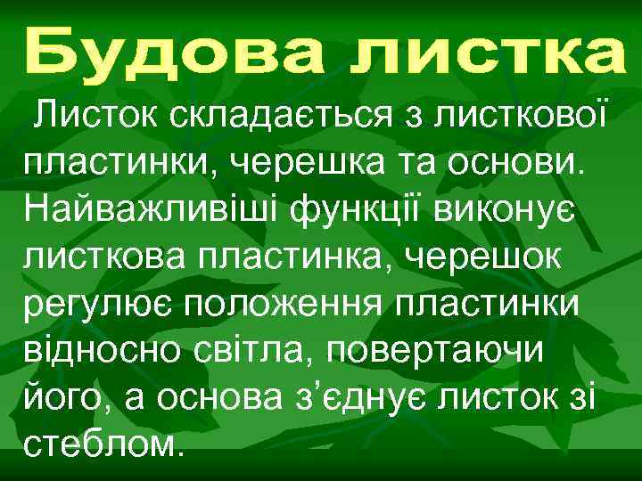 Листок складається з листкової пластинки, черешка та основи. Найважливіші функції виконує листкова пластинка, черешок