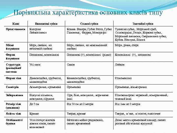 Порівняльна характеристика основних класів типу Клас Вапнякові губки Скляні губки Звичайні губки Представники Клатріни
