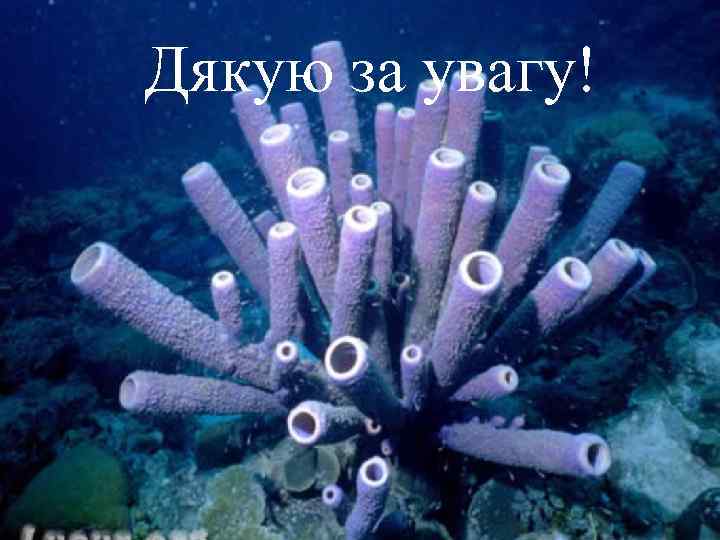 Дякую за увагу! 