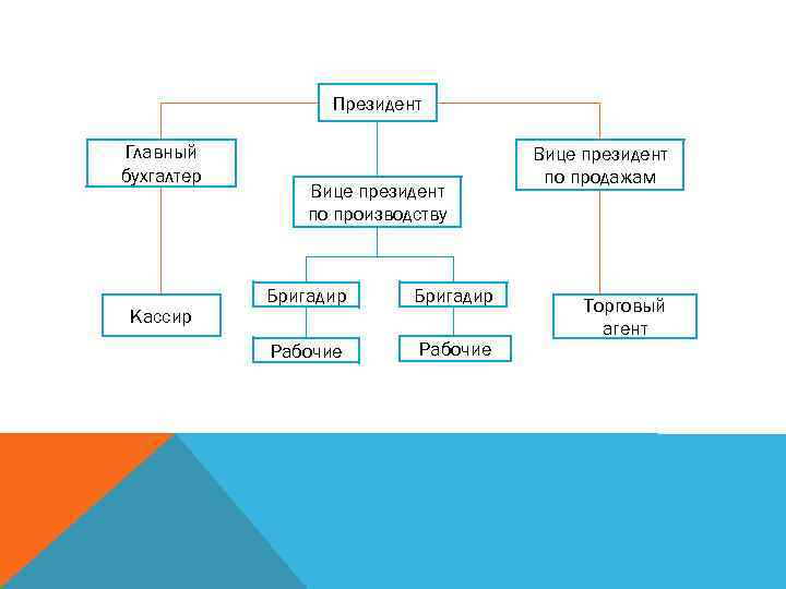 Президент Главный бухгалтер Кассир Вице президент по производству Бригадир Рабочие Вице президент по продажам