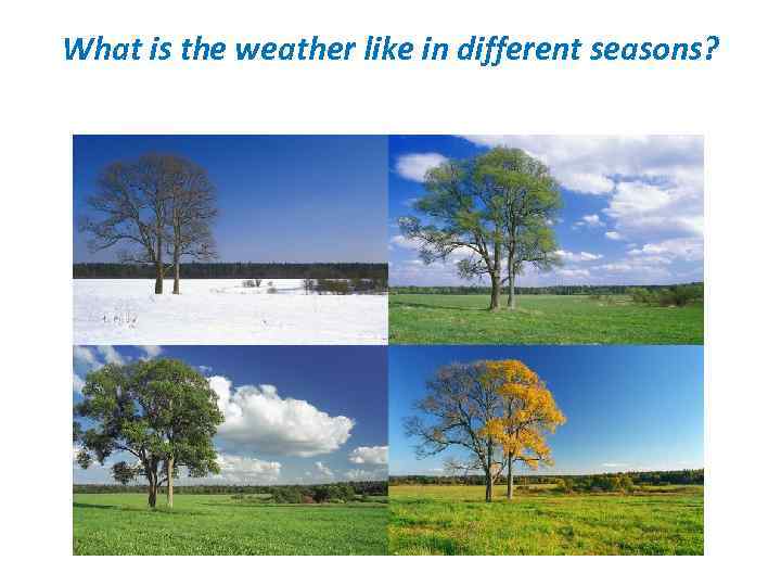 What is the weather like in different seasons? 