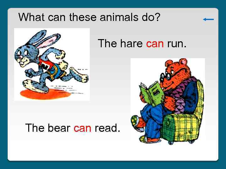 What can these animals do? The hare can run. The bear can read. 