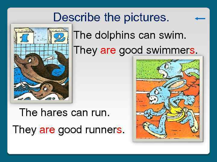Describe the pictures. The dolphins can swim. They are good swimmers. The hares can