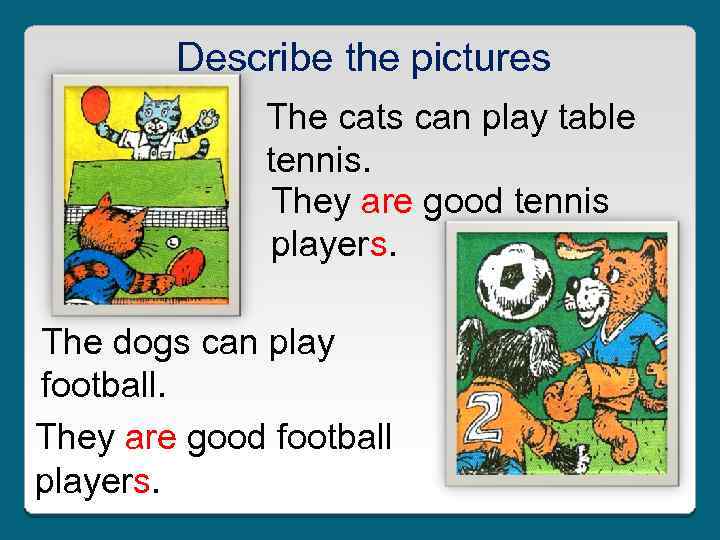 Describe the pictures The cats can play table tennis. They are good tennis players.