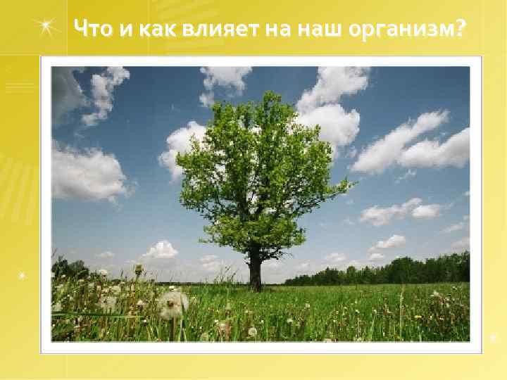 Что и как влияет на наш организм? 