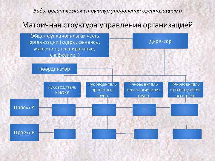 Виды органических структур управления организациями Матричная структура управления организацией Общая функциональная часть организации (кадры,