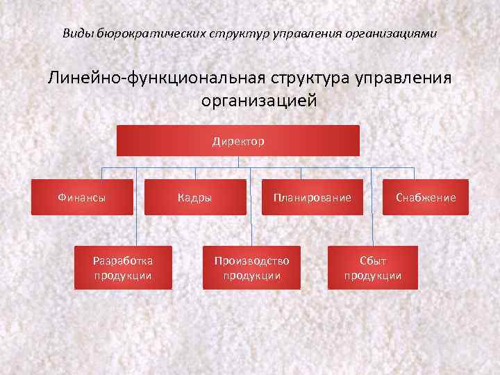 Основные виды структур. Линейный вид организационной структуры управления. Тип организационной структуры управления компании. Типы и виды организационной структуры предприятия. Организационная структура виды структур.