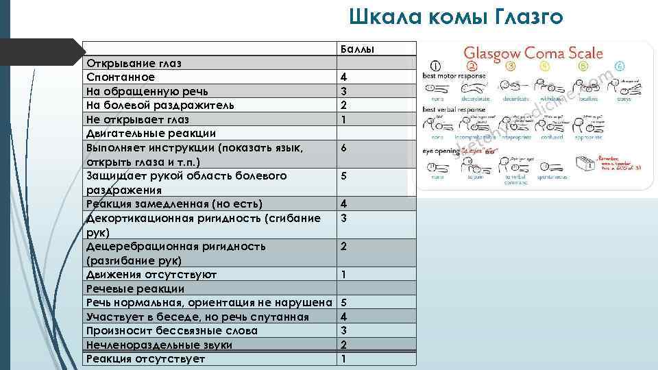 Шкала комы Глазго Открывание глаз Спонтанное На обращенную речь На болевой раздражитель Не открывает