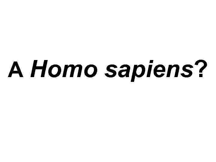 А Homo sapiens? 