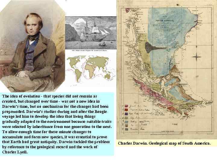 The idea of evolution - that species did not remain as created, but changed