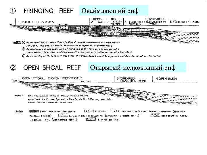 Окаймляющий риф Открытый мелководный риф 