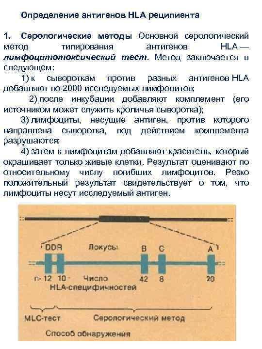 Выявление антигена