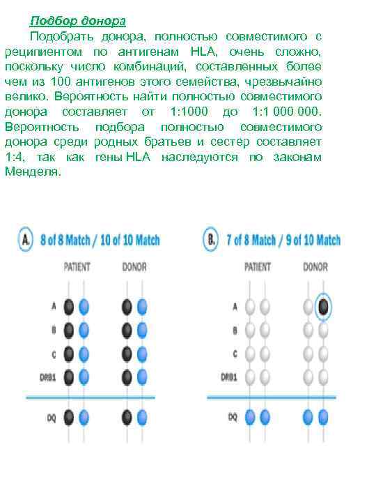 Подбор донора Подобрать донора, полностью совместимого с реципиентом по антигенам HLA, очень сложно, поскольку