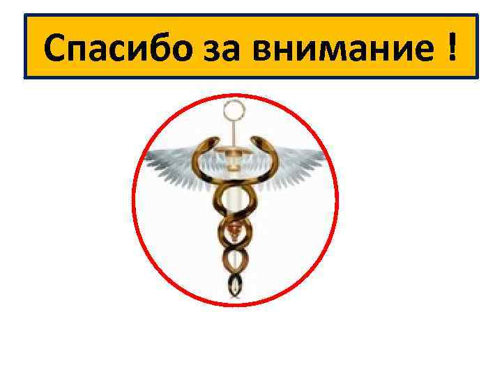 Спасибо за внимание ! 