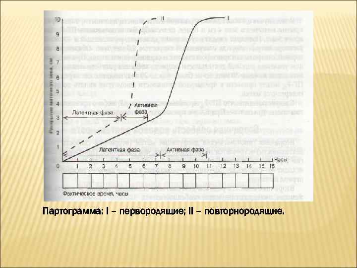 Партограмма в акушерстве образец