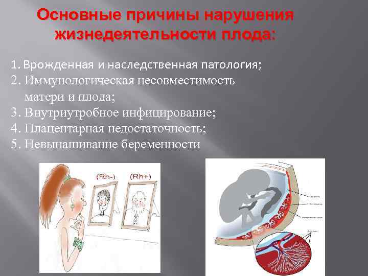 Основные причины нарушения жизнедеятельности плода: 1. Врожденная и наследственная патология; 2. Иммунологическая несовместимость матери