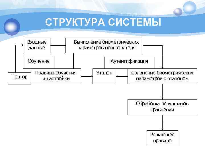 СТРУКТУРА СИСТЕМЫ Входные данные Вычисление биометрических параметров пользователя Обучение Повтор Правила обучения и настройки