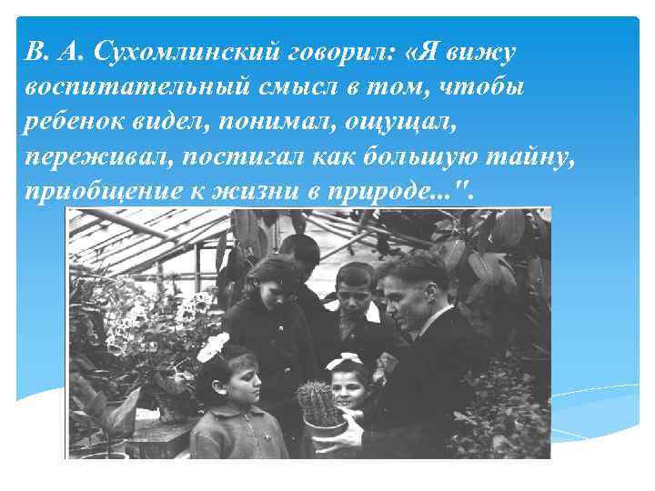 В. А. Сухомлинский говорил: «Я вижу воспитательный смысл в том, чтобы ребенок видел, понимал,