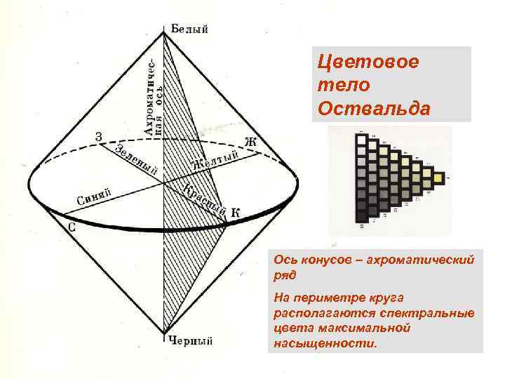 Цветовое тело Оствальда Ось конусов – ахроматический ряд На периметре круга располагаются спектральные цвета