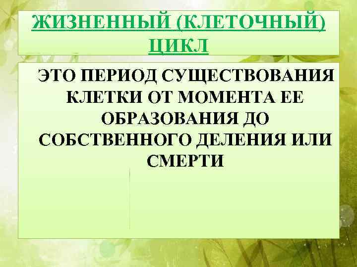 ЖИЗНЕННЫЙ (КЛЕТОЧНЫЙ) ЦИКЛ ЭТО ПЕРИОД СУЩЕСТВОВАНИЯ КЛЕТКИ ОТ МОМЕНТА ЕЕ ОБРАЗОВАНИЯ ДО СОБСТВЕННОГО ДЕЛЕНИЯ