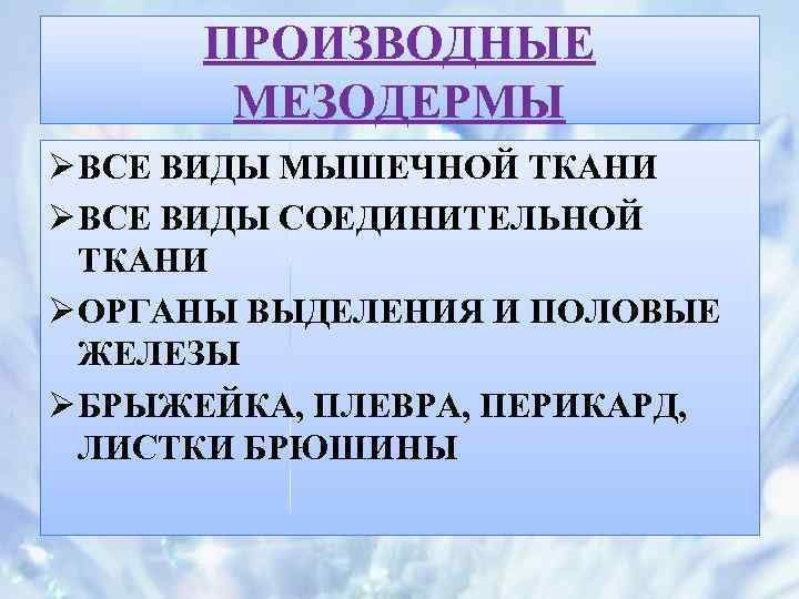 ПРОИЗВОДНЫЕ МЕЗОДЕРМЫ Ø ВСЕ ВИДЫ МЫШЕЧНОЙ ТКАНИ Ø ВСЕ ВИДЫ СОЕДИНИТЕЛЬНОЙ ТКАНИ Ø ОРГАНЫ