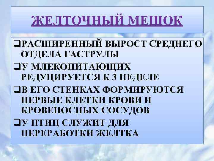 ЖЕЛТОЧНЫЙ МЕШОК q. РАСШИРЕННЫЙ ВЫРОСТ СРЕДНЕГО ОТДЕЛА ГАСТРУЛЫ q. У МЛЕКОПИТАЮЩИХ РЕДУЦИРУЕТСЯ К 3