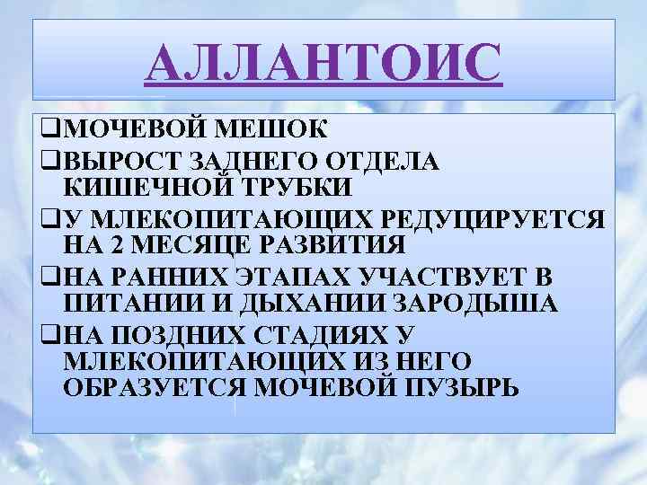 АЛЛАНТОИС q. МОЧЕВОЙ МЕШОК q. ВЫРОСТ ЗАДНЕГО ОТДЕЛА КИШЕЧНОЙ ТРУБКИ q. У МЛЕКОПИТАЮЩИХ РЕДУЦИРУЕТСЯ