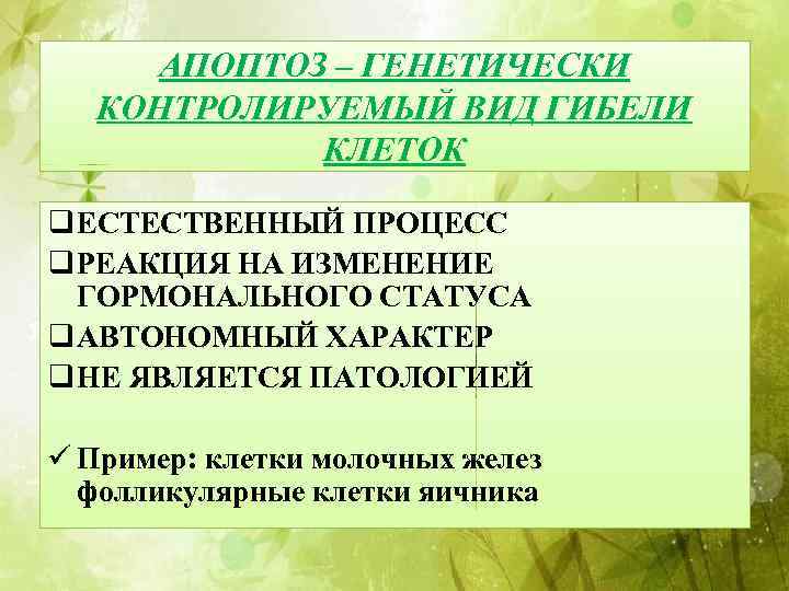 АПОПТОЗ – ГЕНЕТИЧЕСКИ КОНТРОЛИРУЕМЫЙ ВИД ГИБЕЛИ КЛЕТОК q ЕСТЕСТВЕННЫЙ ПРОЦЕСС q РЕАКЦИЯ НА ИЗМЕНЕНИЕ