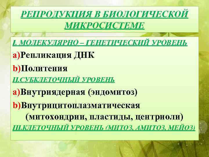 РЕПРОДУКЦИЯ В БИОЛОГИЧЕСКОЙ МИКРОСИСТЕМЕ I. МОЛЕКУЛЯРНО – ГЕНЕТИЧЕСКИЙ УРОВЕНЬ a)Репликация ДНК b)Политения II. СУБКЛЕТОЧНЫЙ