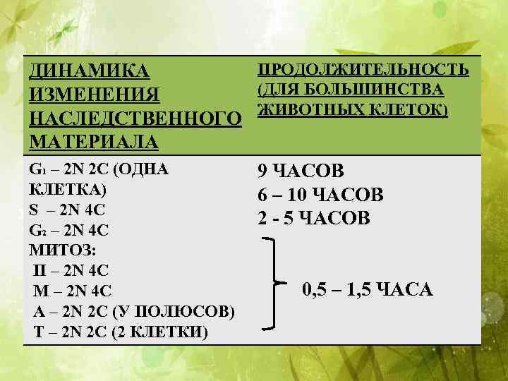 ПРОДОЛЖИТЕЛЬНОСТЬ ДИНАМИКА (ДЛЯ БОЛЬШИНСТВА ИЗМЕНЕНИЯ ЖИВОТНЫХ КЛЕТОК) НАСЛЕДСТВЕННОГО МАТЕРИАЛА G 1 – 2 N