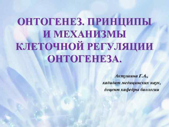 ОНТОГЕНЕЗ. ПРИНЦИПЫ И МЕХАНИЗМЫ КЛЕТОЧНОЙ РЕГУЛЯЦИИ ОНТОГЕНЕЗА. Актушина Г. А. , кадидат медицинских наук,