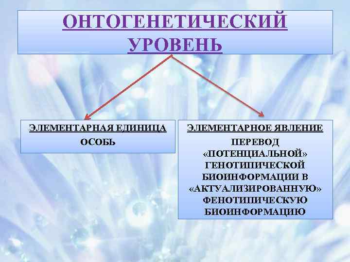 ОНТОГЕНЕТИЧЕСКИЙ УРОВЕНЬ ЭЛЕМЕНТАРНАЯ ЕДИНИЦА ОСОБЬ ЭЛЕМЕНТАРНОЕ ЯВЛЕНИЕ ПЕРЕВОД «ПОТЕНЦИАЛЬНОЙ» ГЕНОТИПИЧЕСКОЙ БИОИНФОРМАЦИИ В «АКТУАЛИЗИРОВАННУЮ» ФЕНОТИПИЧЕСКУЮ