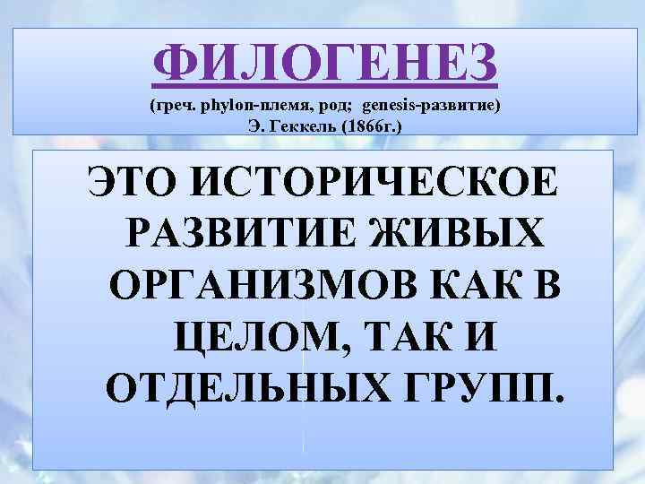 ФИЛОГЕНЕЗ (греч. phylon-племя, род; genesis-развитие) Э. Геккель (1866 г. ) ЭТО ИСТОРИЧЕСКОЕ РАЗВИТИЕ ЖИВЫХ