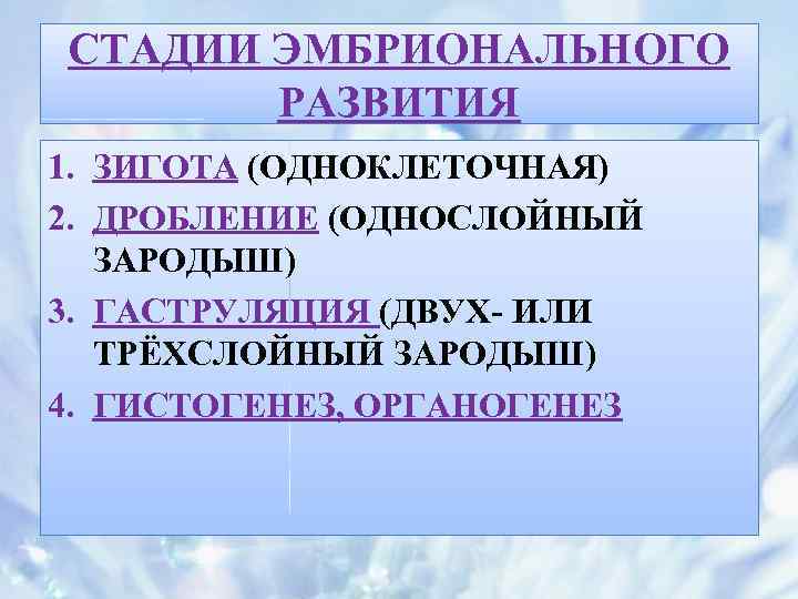 СТАДИИ ЭМБРИОНАЛЬНОГО РАЗВИТИЯ 1. ЗИГОТА (ОДНОКЛЕТОЧНАЯ) 2. ДРОБЛЕНИЕ (ОДНОСЛОЙНЫЙ ЗАРОДЫШ) 3. ГАСТРУЛЯЦИЯ (ДВУХ- ИЛИ