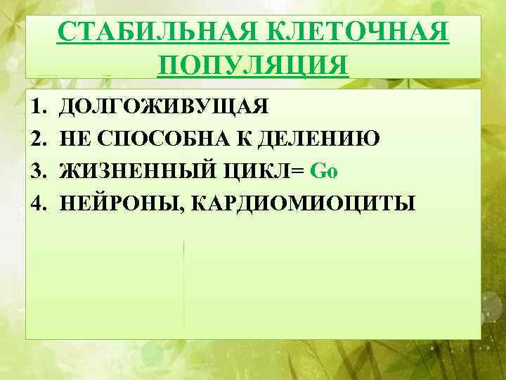 СТАБИЛЬНАЯ КЛЕТОЧНАЯ ПОПУЛЯЦИЯ 1. 2. 3. 4. ДОЛГОЖИВУЩАЯ НЕ СПОСОБНА К ДЕЛЕНИЮ ЖИЗНЕННЫЙ ЦИКЛ=