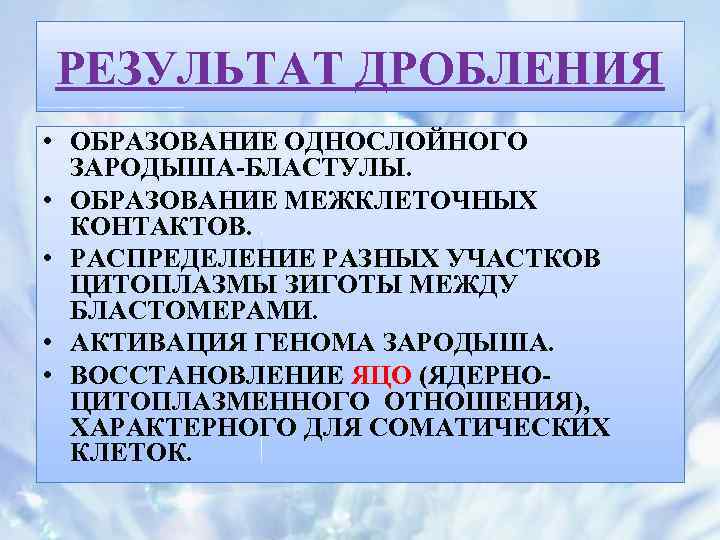 РЕЗУЛЬТАТ ДРОБЛЕНИЯ • ОБРАЗОВАНИЕ ОДНОСЛОЙНОГО ЗАРОДЫША-БЛАСТУЛЫ. • ОБРАЗОВАНИЕ МЕЖКЛЕТОЧНЫХ КОНТАКТОВ. • РАСПРЕДЕЛЕНИЕ РАЗНЫХ УЧАСТКОВ