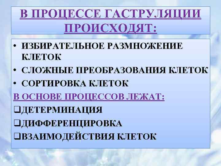 В ПРОЦЕССЕ ГАСТРУЛЯЦИИ ПРОИСХОДЯТ: • ИЗБИРАТЕЛЬНОЕ РАЗМНОЖЕНИЕ КЛЕТОК • СЛОЖНЫЕ ПРЕОБРАЗОВАНИЯ КЛЕТОК • СОРТИРОВКА