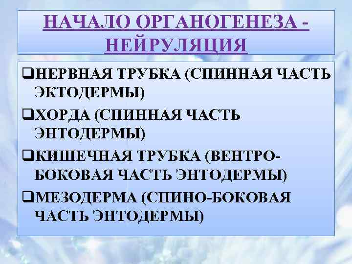 НАЧАЛО ОРГАНОГЕНЕЗА НЕЙРУЛЯЦИЯ q. НЕРВНАЯ ТРУБКА (СПИННАЯ ЧАСТЬ ЭКТОДЕРМЫ) q. ХОРДА (СПИННАЯ ЧАСТЬ ЭНТОДЕРМЫ)