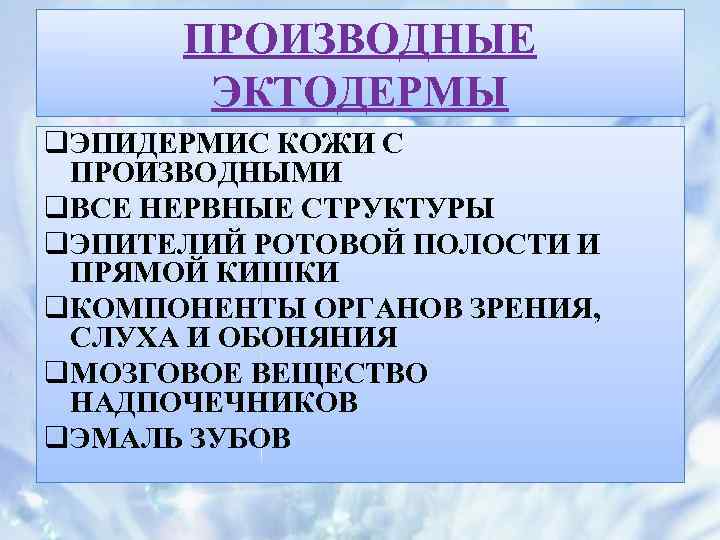 ПРОИЗВОДНЫЕ ЭКТОДЕРМЫ q. ЭПИДЕРМИС КОЖИ С ПРОИЗВОДНЫМИ q. ВСЕ НЕРВНЫЕ СТРУКТУРЫ q. ЭПИТЕЛИЙ РОТОВОЙ