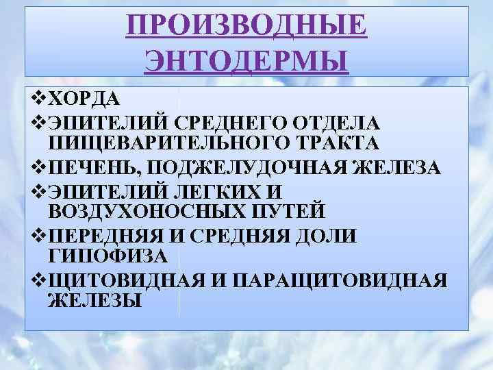 ПРОИЗВОДНЫЕ ЭНТОДЕРМЫ v. ХОРДА v. ЭПИТЕЛИЙ СРЕДНЕГО ОТДЕЛА ПИЩЕВАРИТЕЛЬНОГО ТРАКТА v. ПЕЧЕНЬ, ПОДЖЕЛУДОЧНАЯ ЖЕЛЕЗА